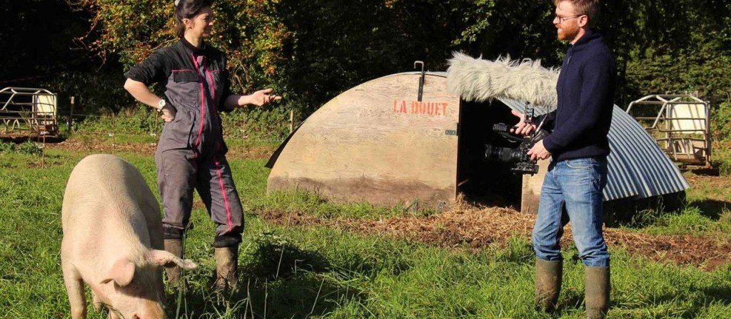 actualité Cycle écran vert
